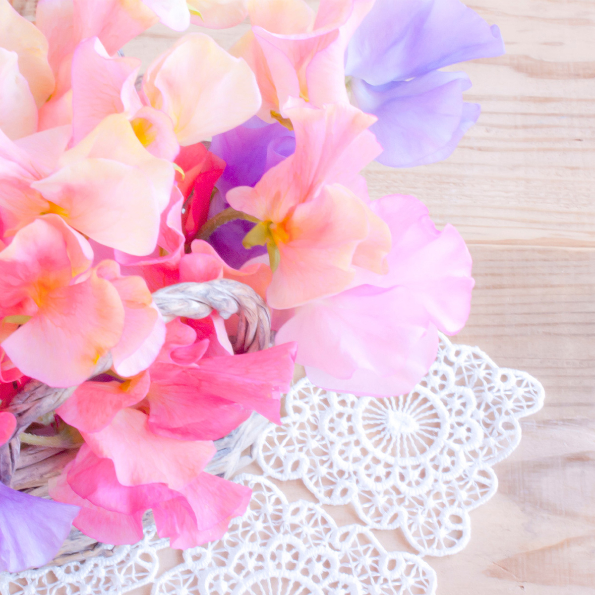 いすみ市大原、大原駅近く、調剤薬局